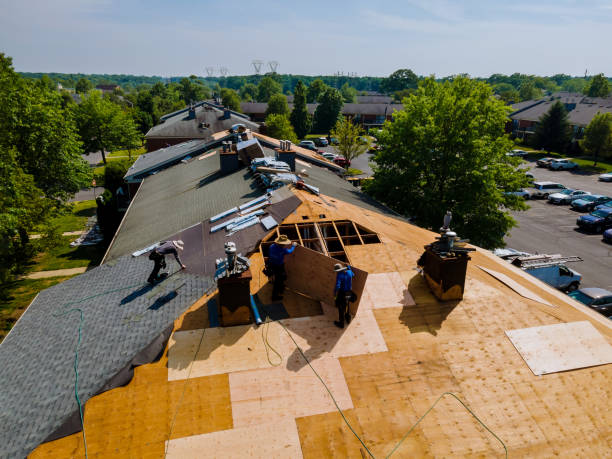 Quick and Trustworthy Emergency Roof Repair Services in West Bishop, CA